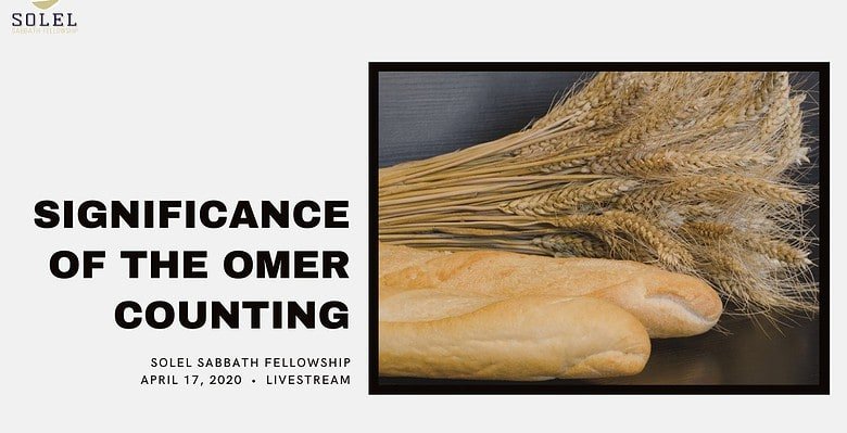 The Significance of the Omer Counting
