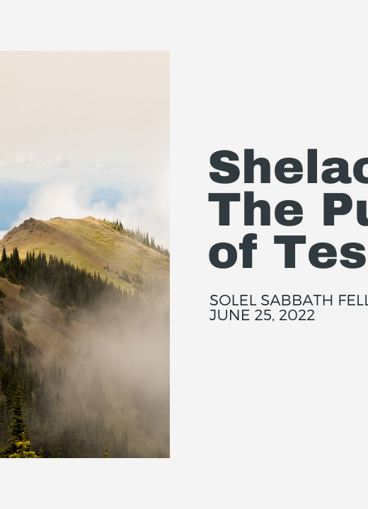 Shelach: The Purpose of Testing