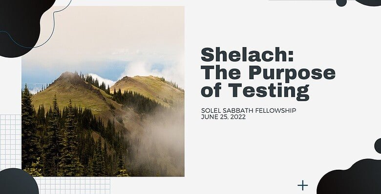 Shelach: The Purpose of Testing