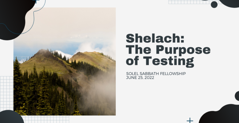 Shelach: The Purpose of Testing